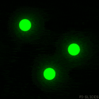 flash GIF by Pi-Slices
