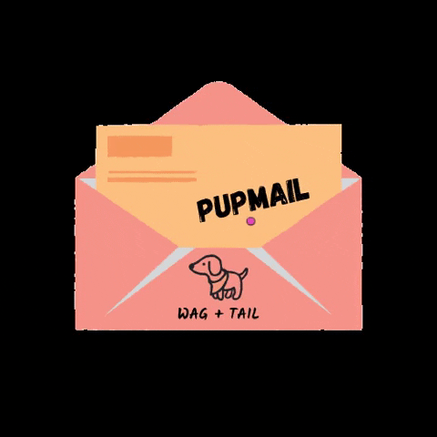 shopwagandtail giphygifmaker new small business mail GIF