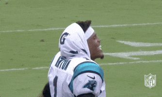 carolina panthers football GIF by NFL