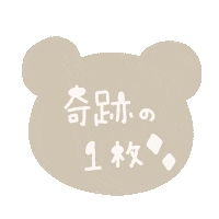 カメラ Sticker