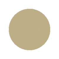 Century21 C21 Sticker by Century21Australia