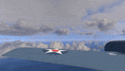 Wild Cat Betty GIF by MicroProse