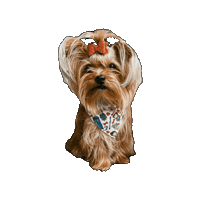 Doctor Who Sticker by Geekster Pets