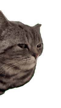 Iris Sticker by smartibapp