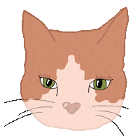 iriskristen cat face wink kitty Sticker