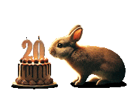 20Let Sticker by Super zoo