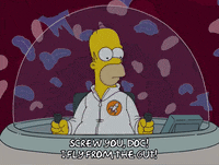 homer simpson GIF