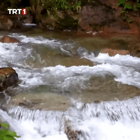 Fresh Air Water GIF by TRT