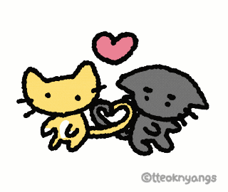 Cat Love GIF