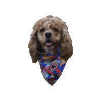 Cocker Spaniel Food Sticker by Geekster Pets