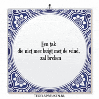 Wind Spreuk GIF by Tegelspreuken.nl
