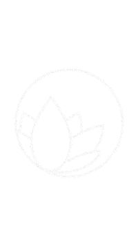 Detailing Car Wash Sticker by Nanolex Saarbrücken