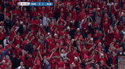 Euro 2016 Jump GIF by Sporza