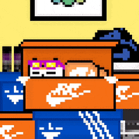 eynmaginaire cat ginger ollie ollie the cat GIF