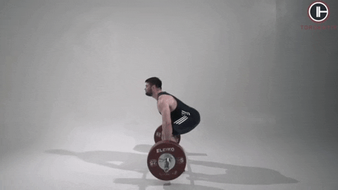 craigroh giphyupload GIF