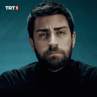 Caglar Ertugrul Reaction GIF by TRT