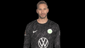 Germany No GIF by VfL Wolfsburg