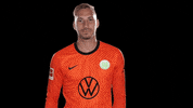 Football Sport GIF by VfL Wolfsburg