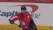 Happy National Hockey League GIF by NHL