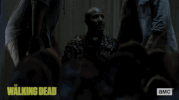 twd GIF by The Walking Dead