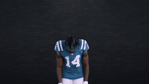 Zach Pascal Nfl GIF by Indianapolis Colts