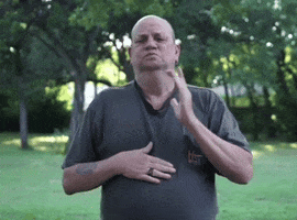 Asl Remodel GIF