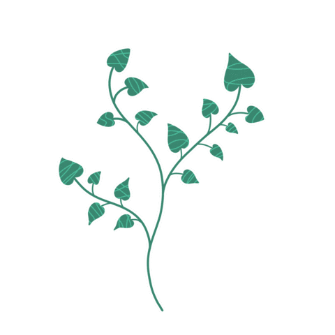 Leaves Ivy Sticker