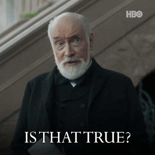 Thegildedage Is That True GIF by HBO Max