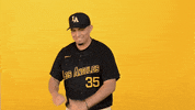 Cal State La Sport GIF by Cal State LA Golden Eagles