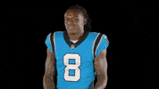 Go Away Reaction GIF by Carolina Panthers