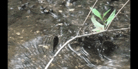 Climate Change Education GIF by DIIMSA Stock
