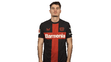 Happy Bayer Leverkusen Sticker by Bundesliga