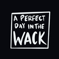 Perfect Day Texas GIF