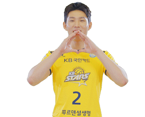 Kb스타즈 Sticker by KB STARS VOLLEYBALL CLUB