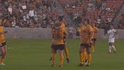 rslmarketing nwsl womens soccer goal celebration arod GIF