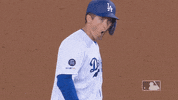 Los Angeles Dodgers Baseball GIF by MLB