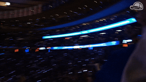 Excited New York Knicks GIF by Snapback Sports