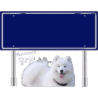 Ally Benji Sticker