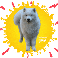 Sticker Laugh Sticker