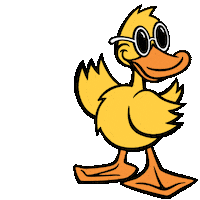 Car Wash Duck Sticker by Quick Quack