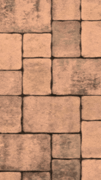 Game Unity GIF by The Good Luck Cats