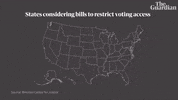 Voting Rights GIF by guardian