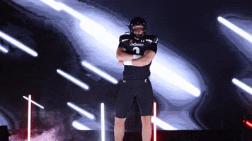 University Of Cincinnati Uc GIF by Cincinnati Bearcats