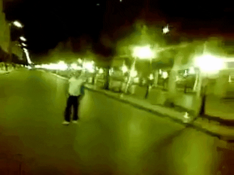 lionthewader giphygifmaker GIF