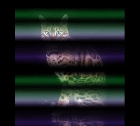 nox7atra giphyupload GIF