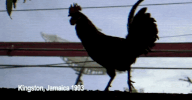 watch out for this GIF by MAJOR LAZER