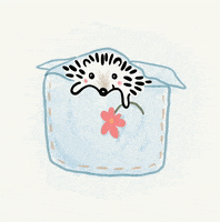 Sunshine Hello GIF