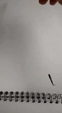 GIF by Naïf