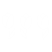 Spring Magyargif Sticker