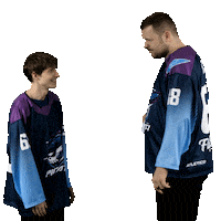 Nhl Sticker by Piráti Chomutov